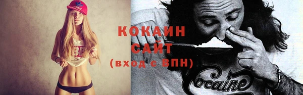 соль ск Козловка