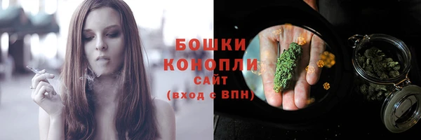 соль ск Козловка