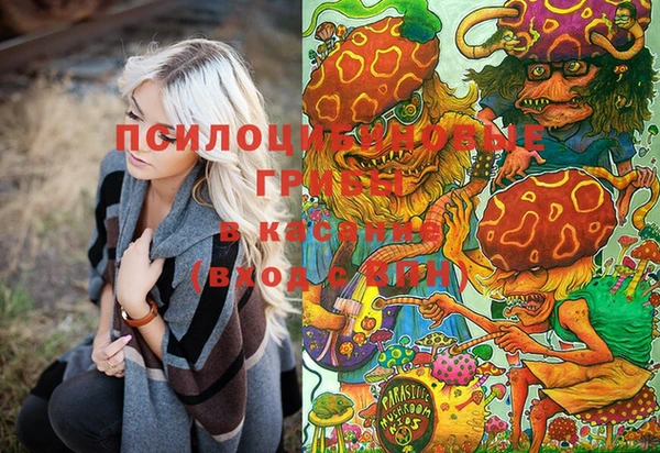 соль ск Козловка