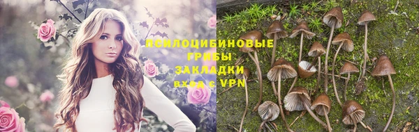 соль ск Козловка