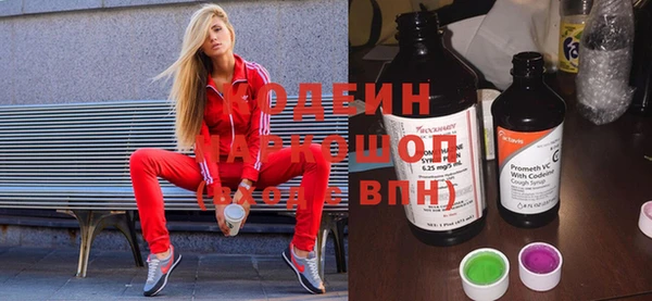 соль ск Козловка