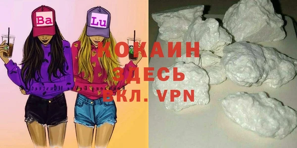 соль ск Козловка