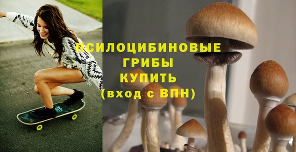 МДМА Кодинск