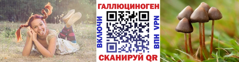 Купить  Заволжье  Галлюциногенные грибы MAGIC MUSHROOMS 