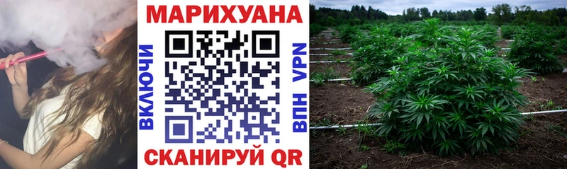 Бошки Шишки Amnesia  Купить  Заволжье 
